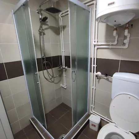 Vera Borsko Jezero Bor