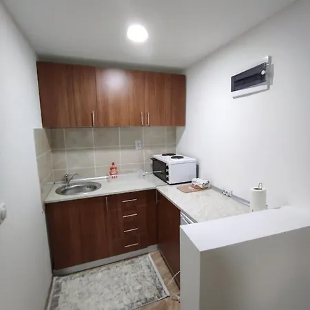 Vera Borsko Jezero Apartament Bor