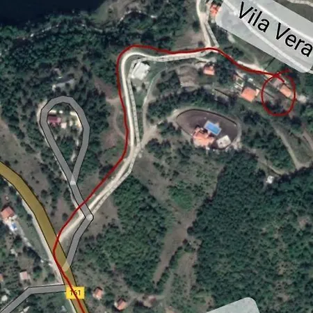 Vera Borsko Jezero Bor