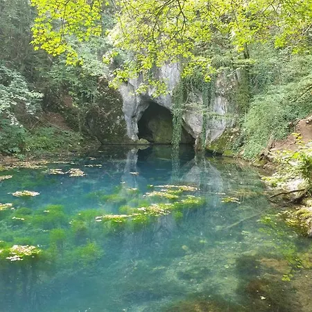 Vera Borsko Jezero *