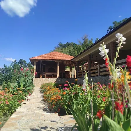 Vera Borsko Jezero Bor